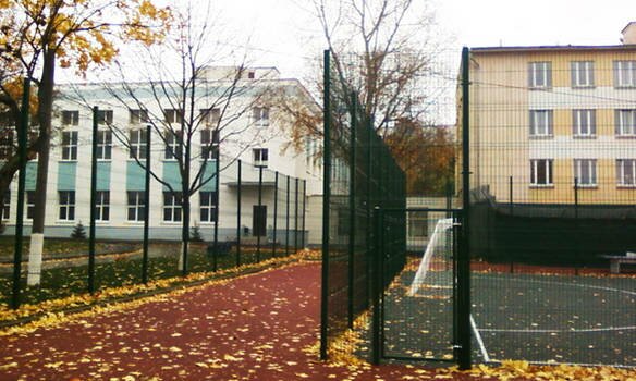 Три томские школы обязали огородить свои территории