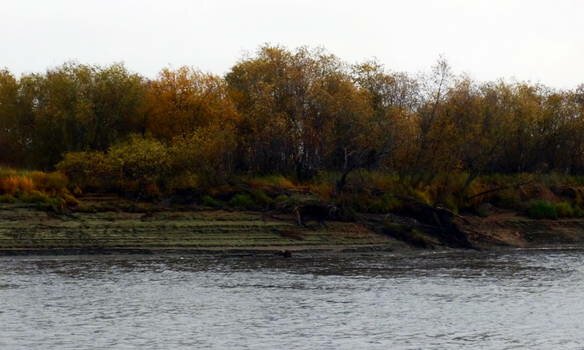 В реке обнаружен труп 59-летнего мужчины